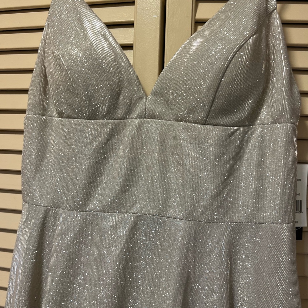 Long formal evening dress. I cut out the under crinoline as it was super puffy!
